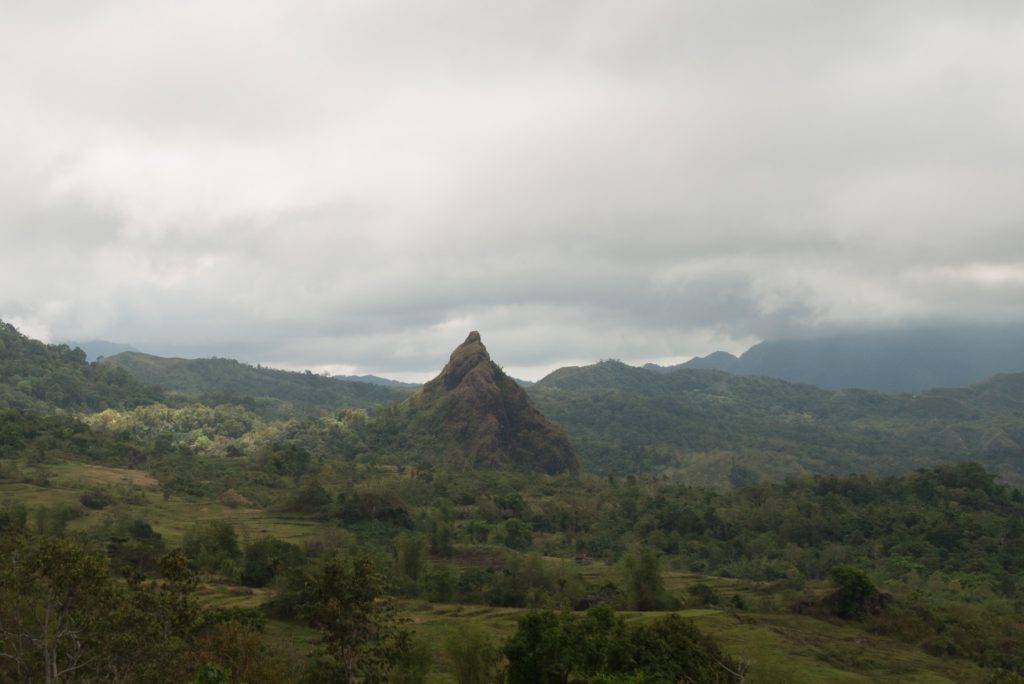 DSC_3676.jpg