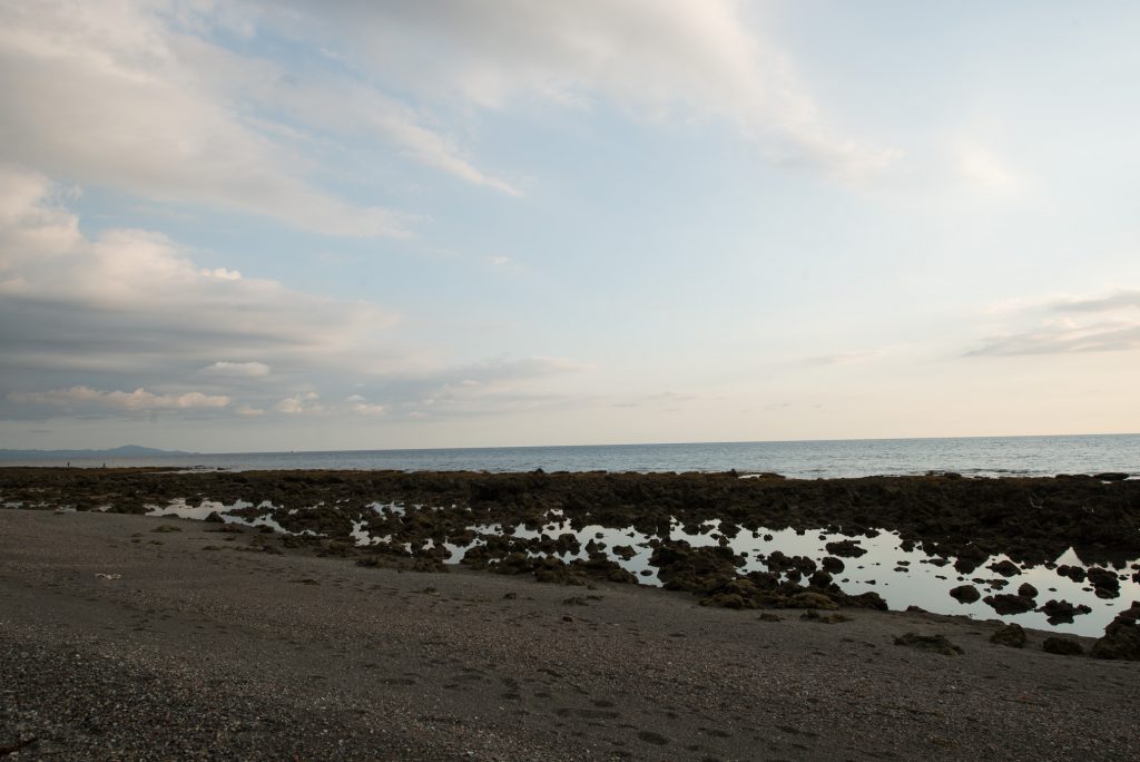 DSC_4731.jpg