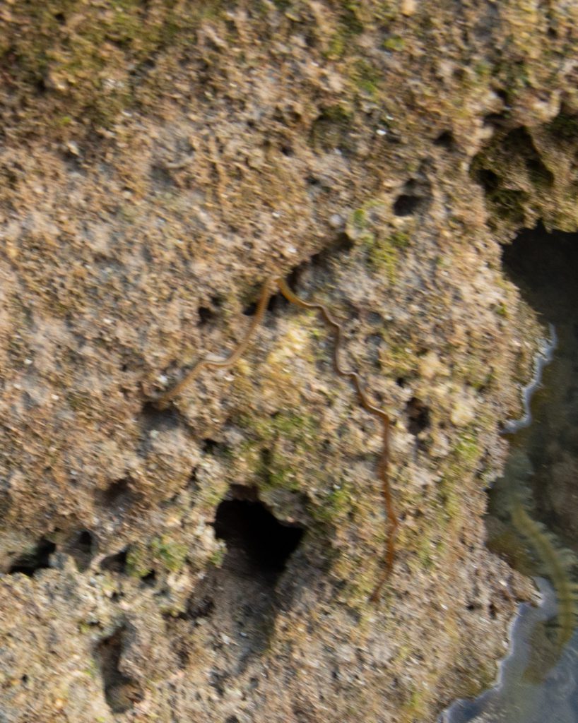 DSC_4969.jpg